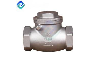 Check Valve