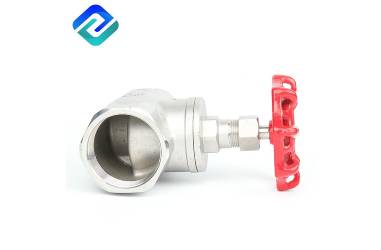 Globe Valve